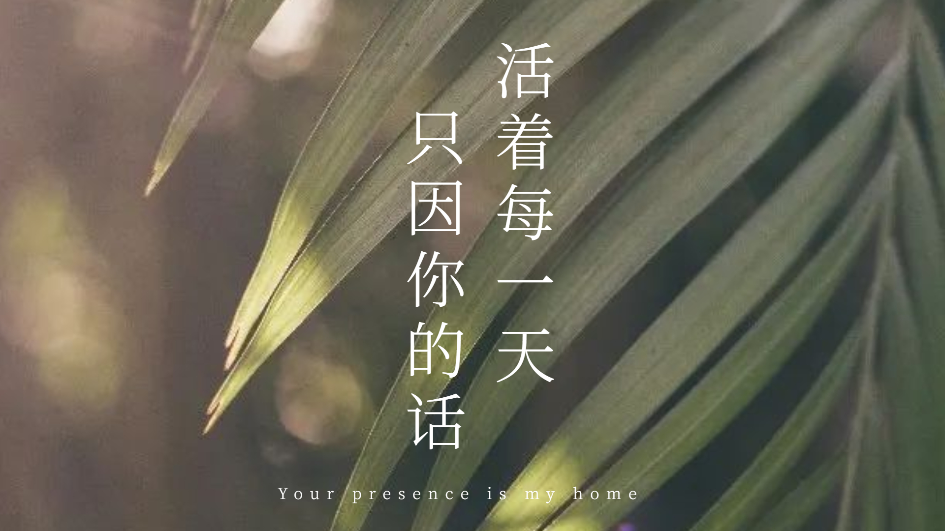 什么是‘亵渎圣灵’的罪？