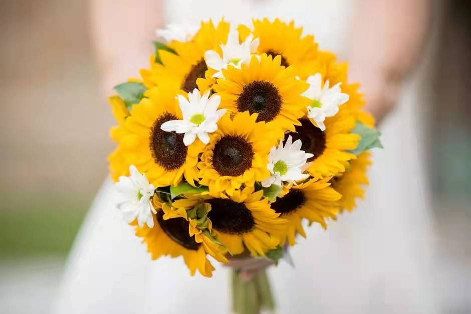 上帝写给女人的一封信：你很美，值得被爱！