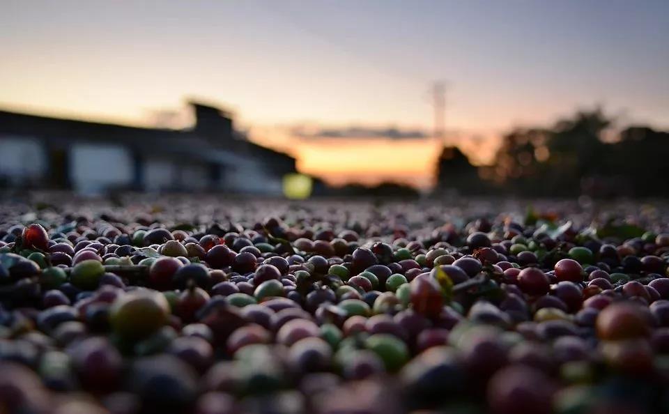 灵修：他来的日子真的近了，我们当如何？（创7章）