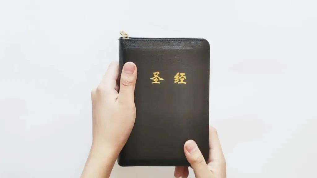 灵修：最安全的地方就是 在祂里面（创8章）