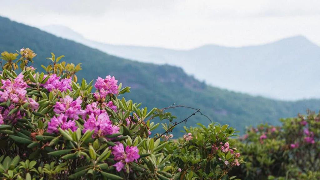 阴间、乐园、天堂、地狱的意思分别是什么？