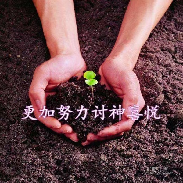 灵修：撒在好土地的种子，结出美好的果实（太13）