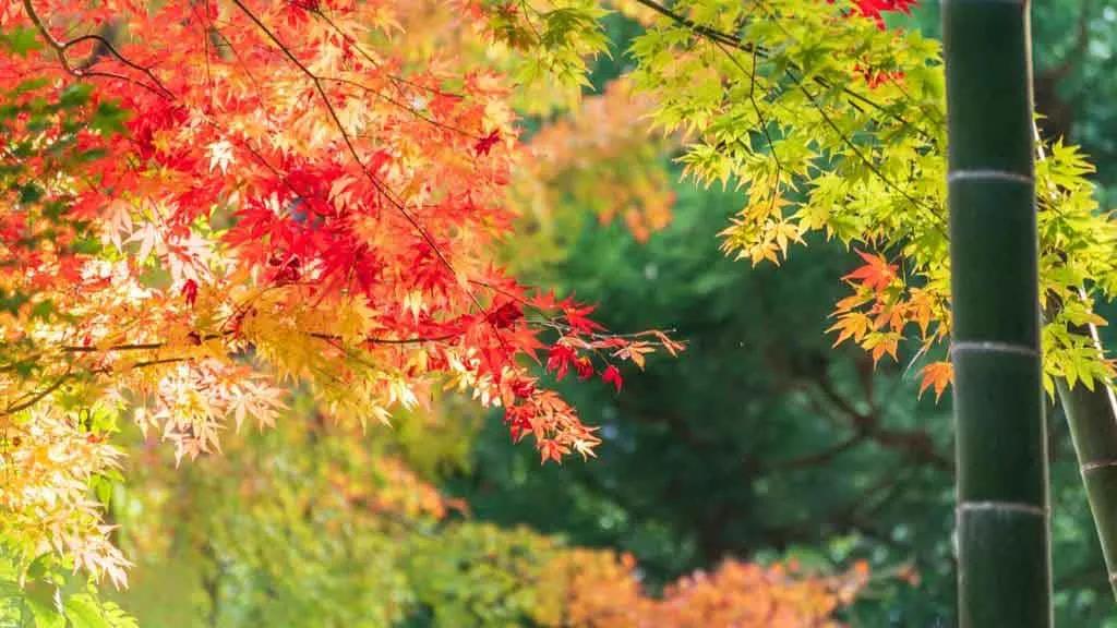 世界上只有两种宗教！