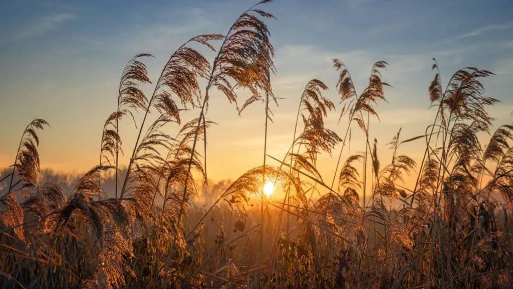 见证：快三年了，我好感恩，也实在是盼望……