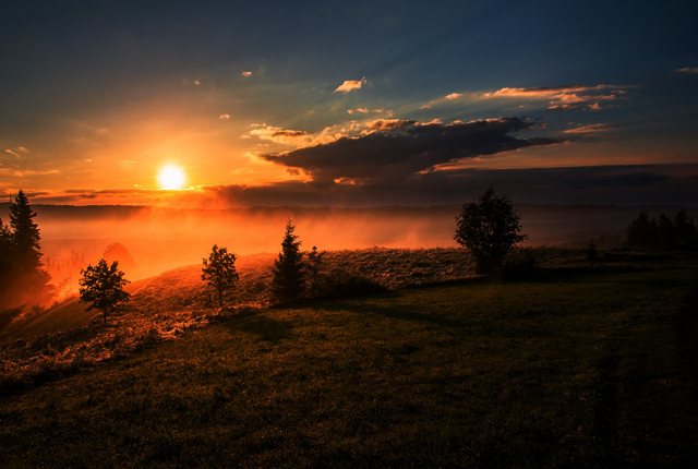 美文：失去怜悯就失去人类的主要特征
