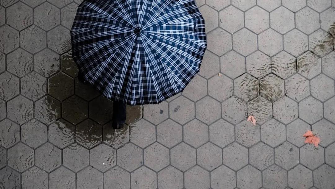 美文：‘八卦的真相’在假新闻时代重新思考摩西的戒律