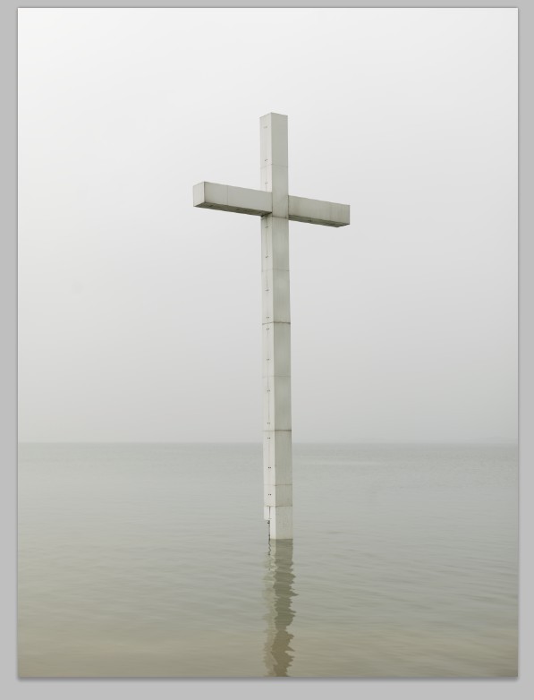 美文：谁的内心没有遭背叛的伤害？