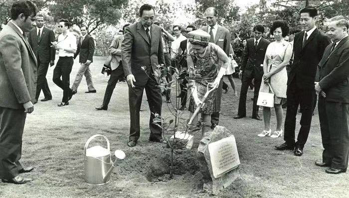 一颗不起眼的树苗（英国女王伊丽莎白二世的故事之感）