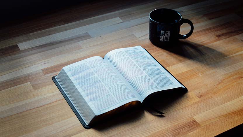 有声书 《标杆人生》生命到底是什么，而我为什么会在这里？