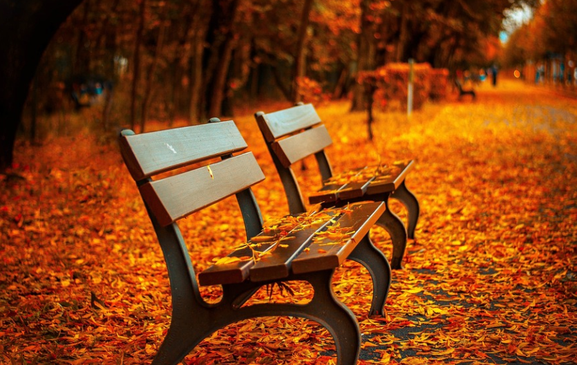 基督徒可以买卖保险吗？