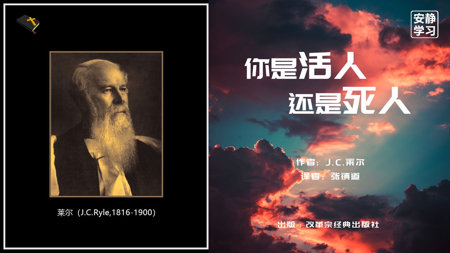 有声书【你是活人还是死人】J.C.莱尔（合集）