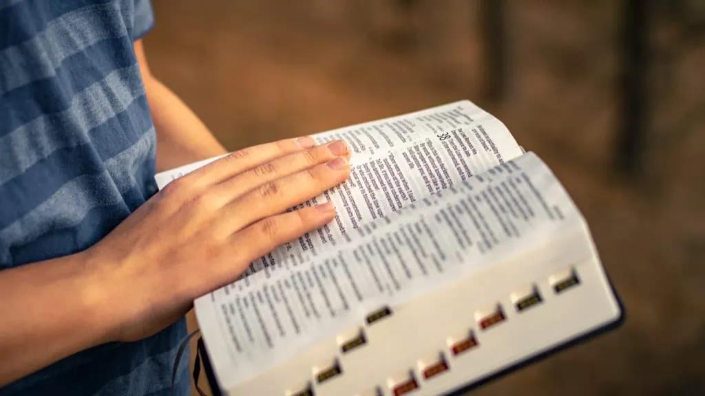 鼓舞人心的经句