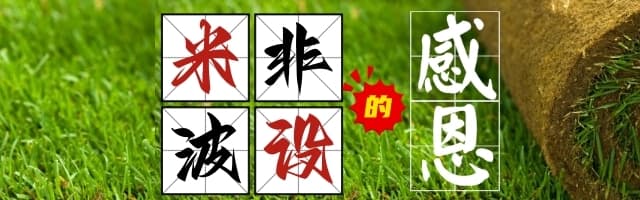 米非波设的感恩